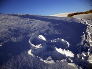 Iain Lees [CC-BY-SA-2.0 (http://creativecommons.org/licenses/by-sa/2.0)], via Wikimedia Commons