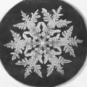 By Smithsonian Institution from United States (Snowflake Study  Uploaded by PDTillman) [see page for license], via Wikimedia Commons