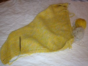 Baby blanket in progress.