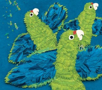 Parrots-over-Puerto-Rico1