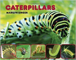 51zj0DcTTBL._SX258_BO1,204,203,200_