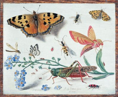 Jan van Kessel the Elder [Public domain], via Wikimedia Commons