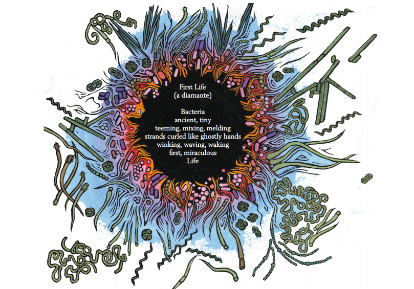 Screen Shot 2015-07-08 at 1.29.26 PM