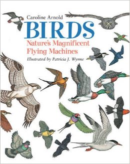 51SFANt3IFL._SX258_BO1,204,203,200_