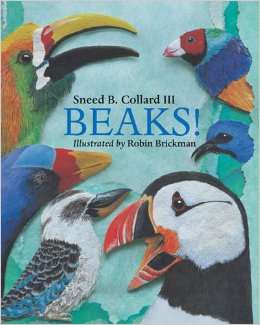 51zul9Pj7nL._SX258_BO1,204,203,200_