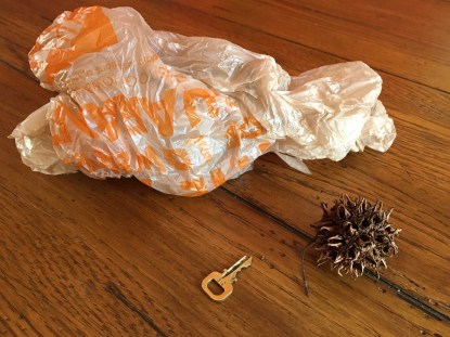 Objects I found on my walk this morning.