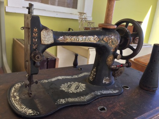 Photo by Matt Forrest Esenwine