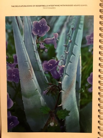 Photo by Tim Fitzharris in 2016 Arizona Highways Calendar