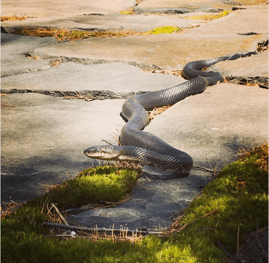 Photo by Michael Flynn