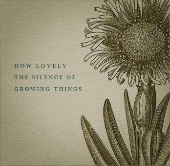 878761b3766f3ddee680b7c2e3df2283